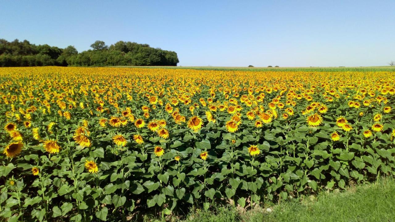 Ferienhaus La Petite Bellarderie Champniers (Charente)